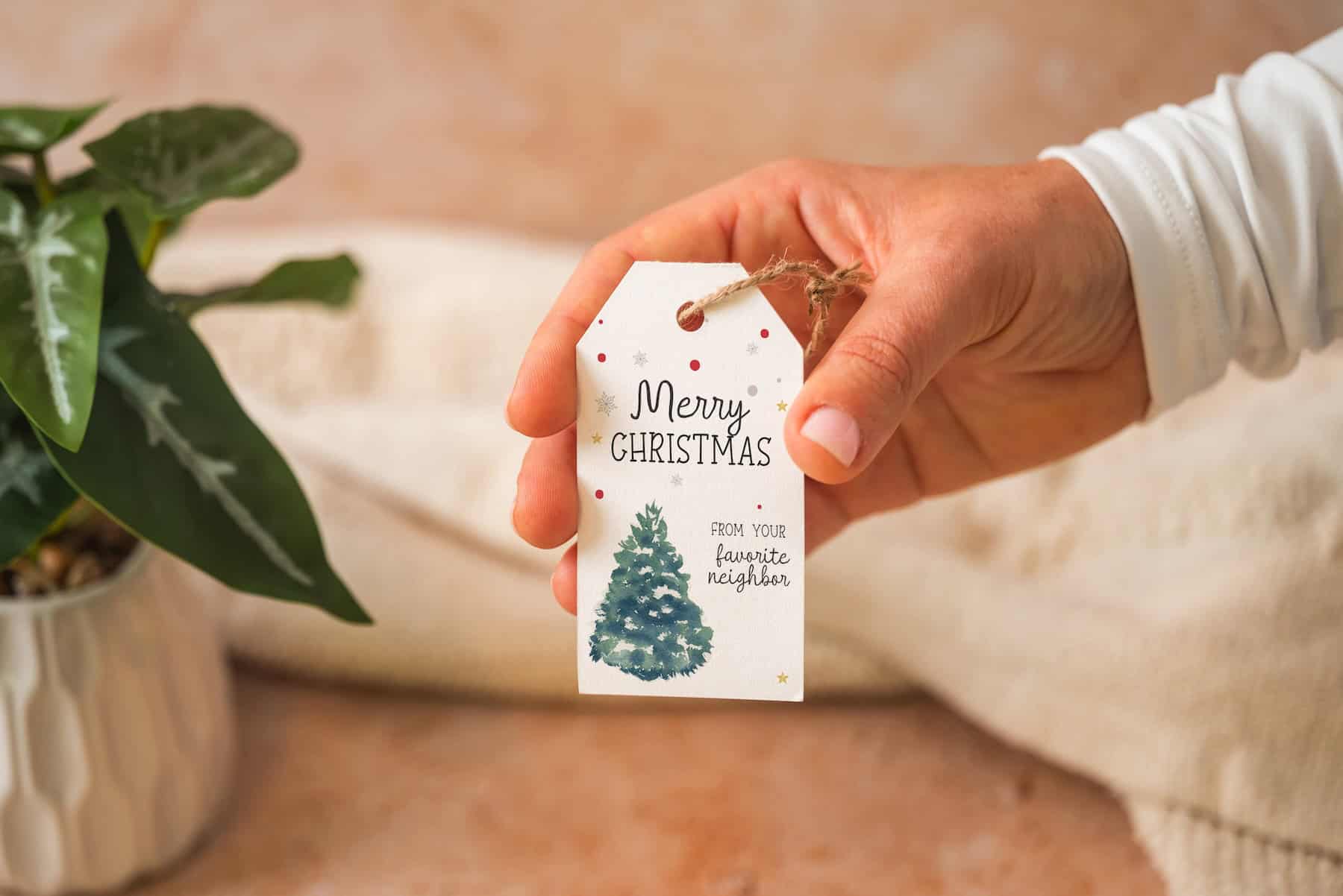A hand holds a Christmas gift tag with a drawing of a tree and the words Merry Christmas from your favorite neighbors. A green potted plant is in the background.